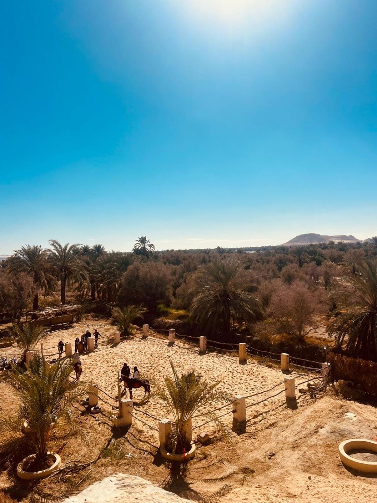 Aghurmi Siwa Ecolodge & Salt Cave Siwa Oasis Exterior foto